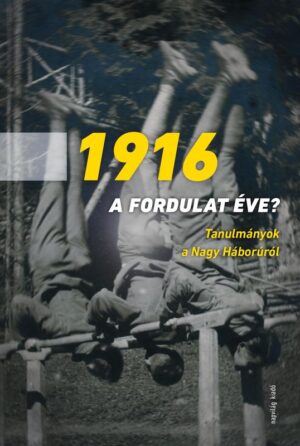 1916 – A fordulat éve?