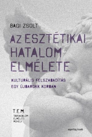 Az esztétikai hatalom elmélete