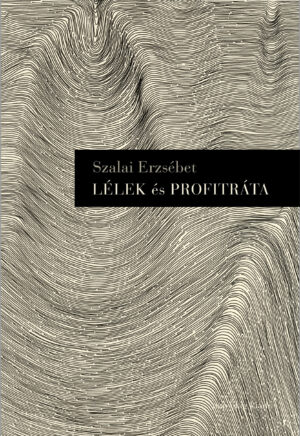 Lélek és profitráta (e-könyv)